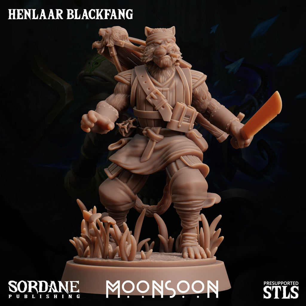 3D Printed Sordane Publishing  Henlaar Blackfang Moonsoon 28 32mm D&D